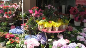 どんどんお花も入荷中で～す♪♪｜「オランダヤ」　（長崎県長崎市の花キューピット加盟店 花屋）のブログ