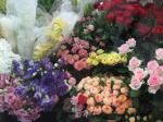 本日はお花の入荷日です☆｜「オランダヤ」　（長崎県長崎市の花キューピット加盟店 花屋）のブログ