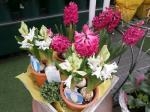 お花が咲きました～♪｜「オランダヤ」　（長崎県長崎市の花キューピット加盟店 花屋）のブログ