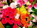 ☆カーネーション☆｜「オランダヤ」　（長崎県長崎市の花キューピット加盟店 花屋）のブログ