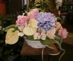 眠くて、眠くて、眠くて。｜「オランダヤ」　（長崎県長崎市の花キューピット加盟店 花屋）のブログ