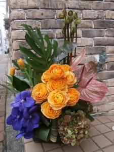 春を感じる、ぜんまいコレクション☆｜「オランダヤ」　（長崎県長崎市の花キューピット加盟店 花屋）のブログ