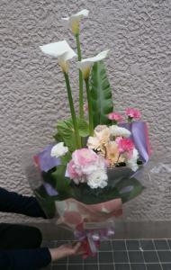 桜の季節、だからこそ☆｜「オランダヤ」　（長崎県長崎市の花キューピット加盟店 花屋）のブログ
