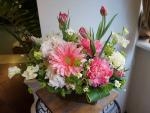 春。。。♪｜「オランダヤ」　（長崎県長崎市の花キューピット加盟店 花屋）のブログ
