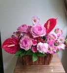 １１月｜「オランダヤ」　（長崎県長崎市の花キューピット加盟店 花屋）のブログ