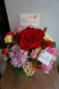 母の日の御注文ありがとうございました。｜「オランダヤ」　（長崎県長崎市の花キューピット加盟店 花屋）のブログ