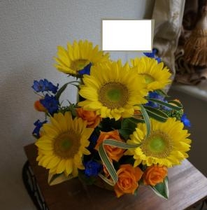 夏のお花といえば。。。｜「オランダヤ」　（長崎県長崎市の花キューピット加盟店 花屋）のブログ