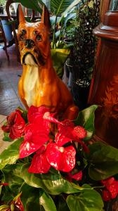 個性的な・・・｜「オランダヤ」　（長崎県長崎市の花キューピット加盟店 花屋）のブログ