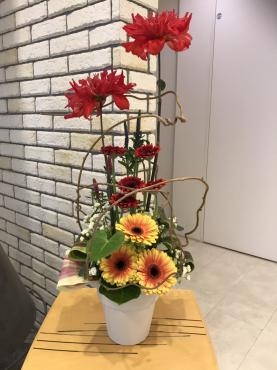 愛妻の日｜「オランダヤ」　（長崎県長崎市の花キューピット加盟店 花屋）のブログ