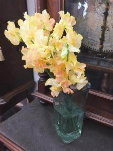 春のお花｜「オランダヤ」　（長崎県長崎市の花キューピット加盟店 花屋）のブログ