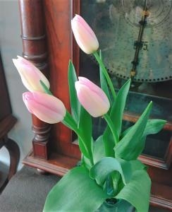 チューリップ｜「オランダヤ」　（長崎県長崎市の花キューピット加盟店 花屋）のブログ