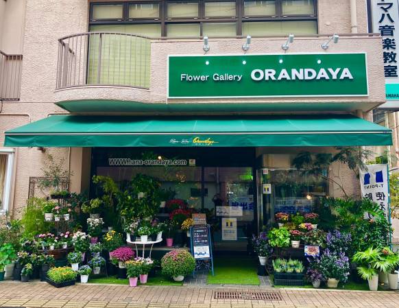 長崎県長崎市の花屋 オランダヤにフラワーギフトはお任せください 当店は 安心と信頼の花キューピット加盟店です 花キューピットタウン